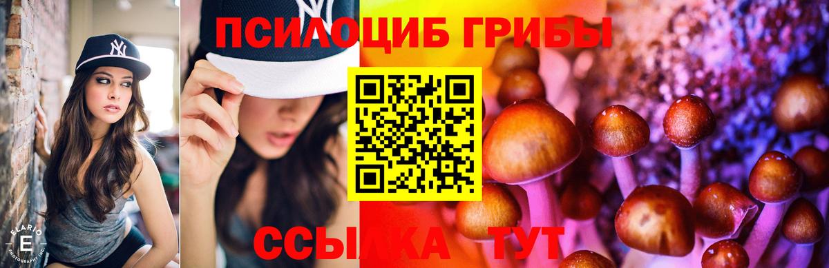 Псилоцибиновые грибы Psilocybine cubensis Лобня